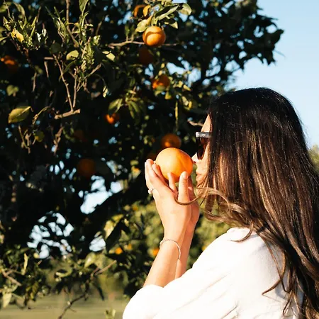 Quinta Da Luz - A Luxury Boutique Silves
