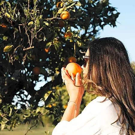 Quinta Da Luz - A Luxury Boutique Bed & Breakfast 4*